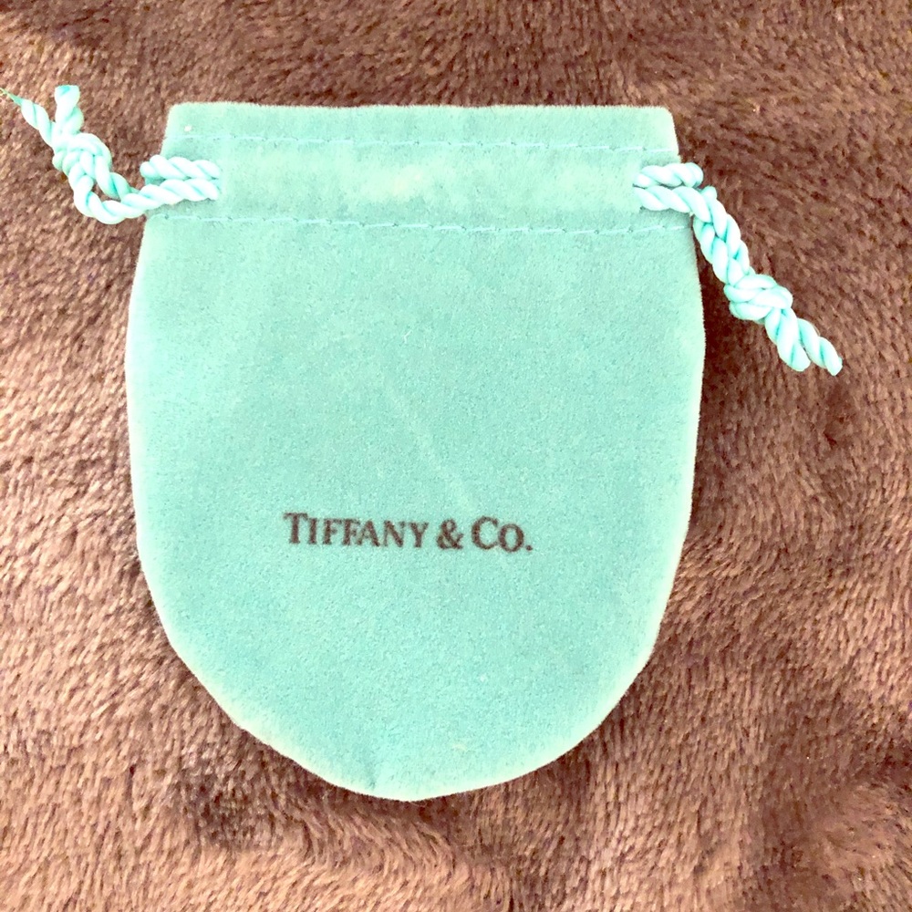Tiffany & Co small gift bag